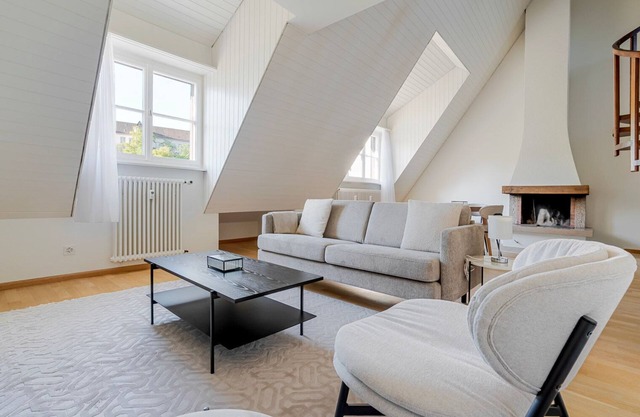 Blueground | Basel-Vorstaedte, river view, nr Rhine