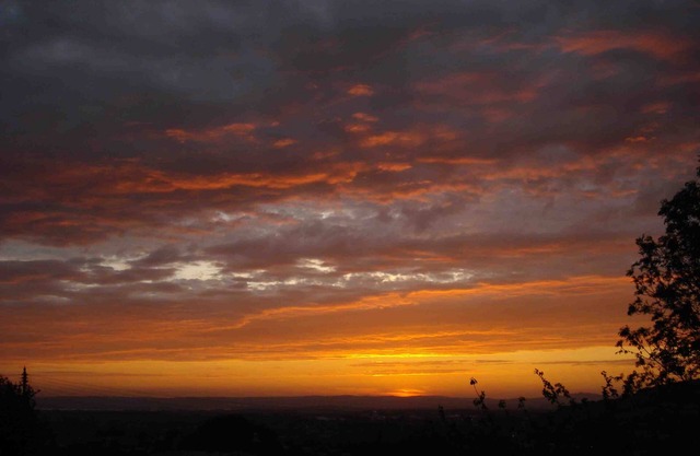 Bobby's Nook: , Ground Floor, Self Contained, Perfect for Two!