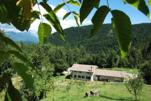 Bosco delle Rune .un angolo di paradiso