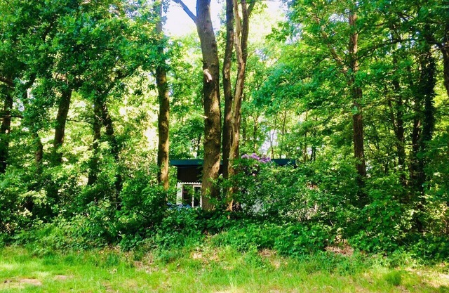 Boshuisje In the middle of nowhere
