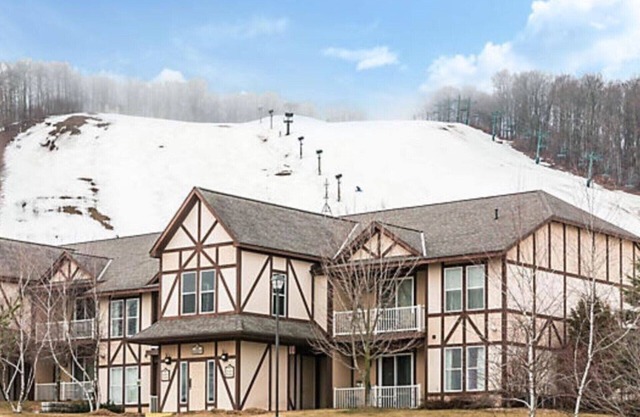 Boyne Mtn 1BR Prime Location, laundry, fireplace, kitchen, sleeps 4