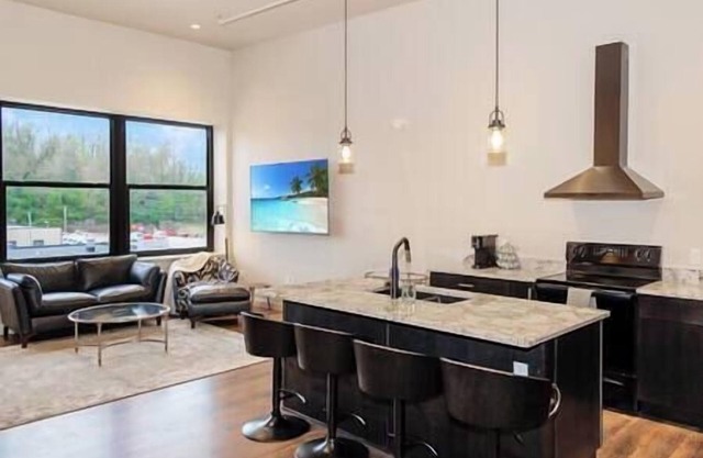 Brand New Spacious 2 BR Downtown Burlington! Unit 301S