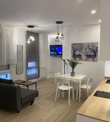 Bravo Murillo Apartments