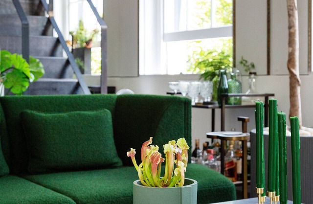 Brazilian Trailblazer, by Veeve