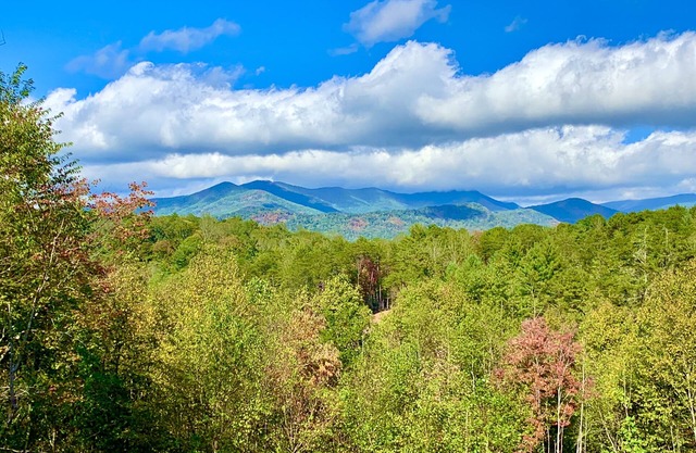 Breathtaking Mountain View, Convenient Location, Dog Friendly, A