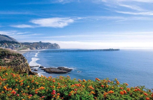 Breathtaking Ocean View! 3 Classy Units, Outdoor Pool, Near Avila Beach Pier