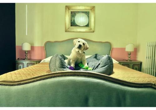 Bridge Hotel