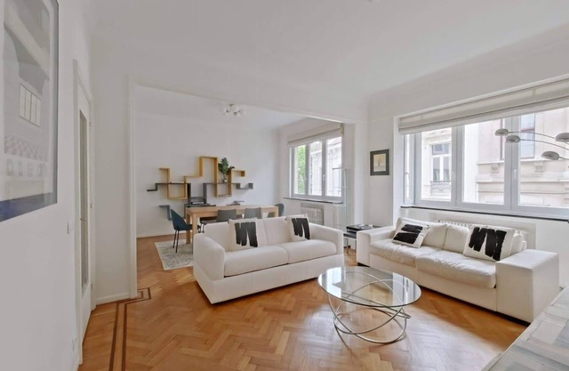 Bright 1BR flat in Saint-Gilles