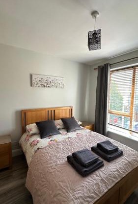 Bright Spacious Apartment