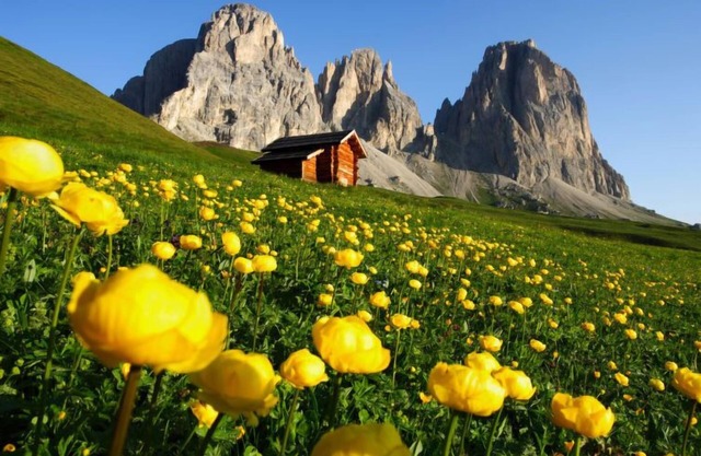 Brunel (SOF772) by Interhome