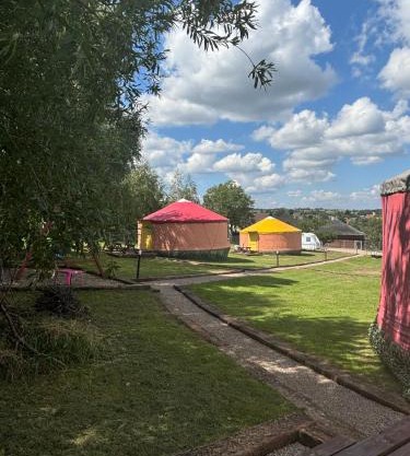 Brzozowy Zagajnik