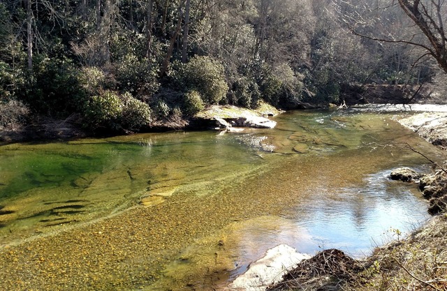 Burnsville, NC - Awesome 40 Acre Retreat on the South Toe River