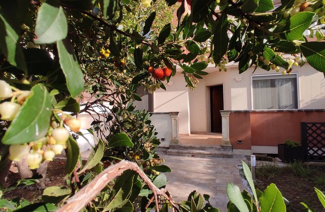 Butterfly cottage