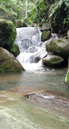 Cabaña en el Bosque