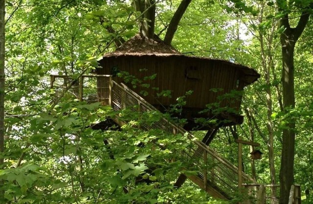 Cabane 3 étoiles - Piscine - ccbbifi