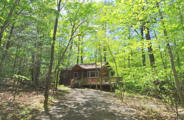 Cabin at Sleepy Creek - creek, wifi, pets, fire pit, deck, grill, fishing