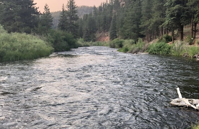 Cabin at Sportsman’s Paradise- Anglers’s Dream & Mountain Retreat.