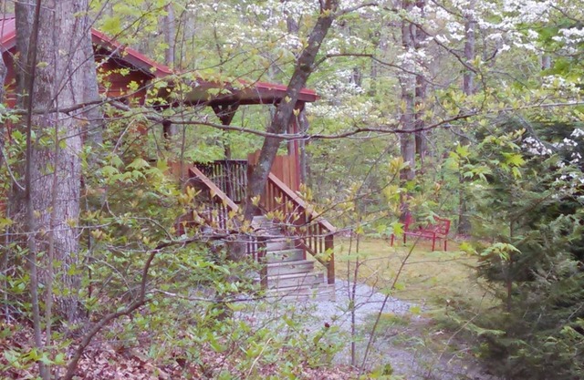 Cabin in the Woods-Peaceful 1BR 20-Acre Rural Retreat-HotTub&WiFi near Asheville