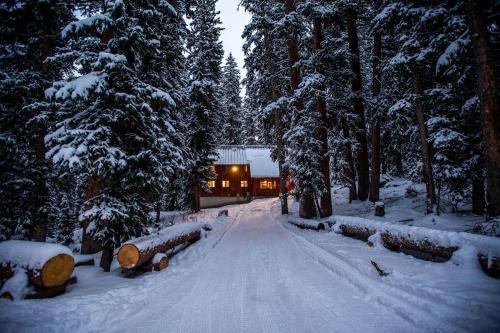 Cabin on the Edge of Forever