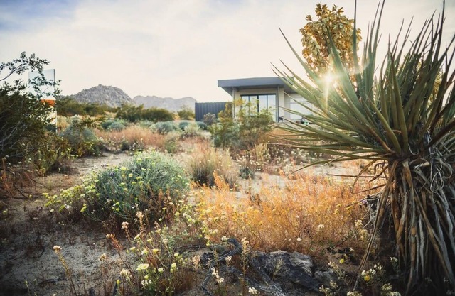 Caelum By Homestead Modern