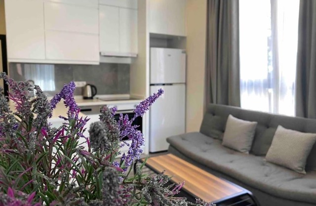 Camelia 2 Beautiful 1+1 on Cleopatra