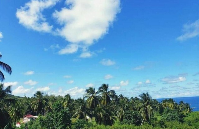 Camping Barbados #4 Bring Your Own Tent