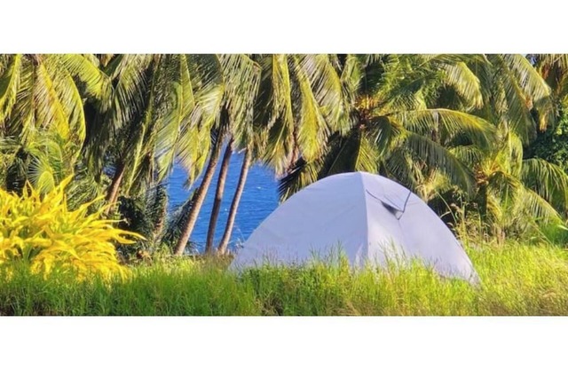 Camping Barbados - Activity Stay