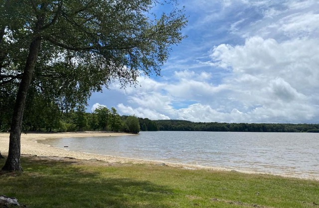 Camping de la Forêt Seasonova