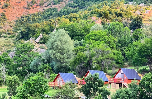 Camping, Nature, Hiking, Horse, Organic Food