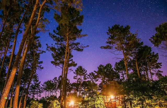 Cap'Cabane