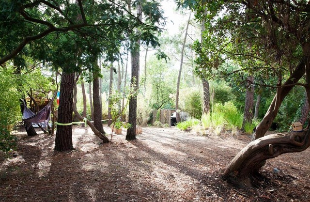 CAP-FERRET POINTE (Réf 170)