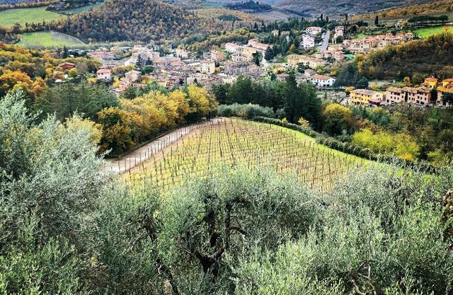 Capannelle Wine Resort