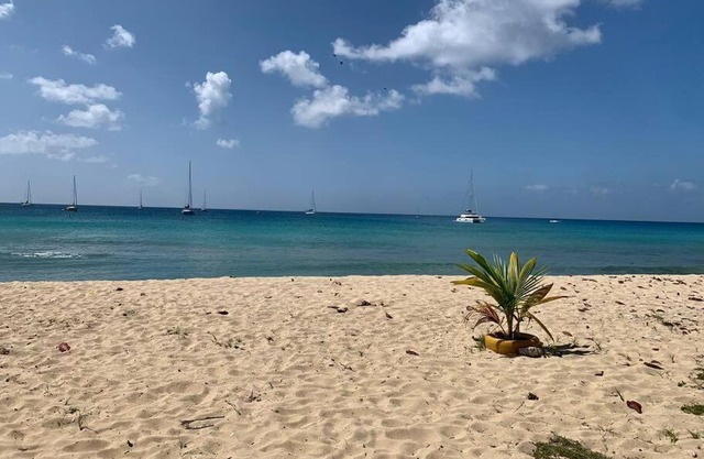 Caribbean Gem ocean block in the center of town