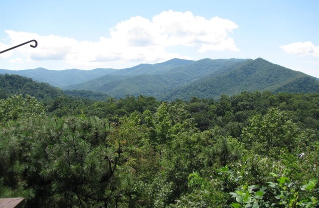Carolina Hideaway| Blue Ridge views minutes to Downtown Waynesville