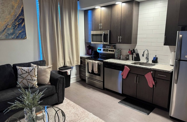 Carytown Apartment; Free Netflix