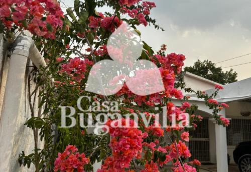 Casa Buganvilea