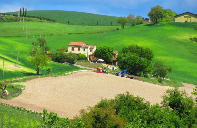 Casa dei Sogni d'Oro, private pool 12x6m, very quiet location