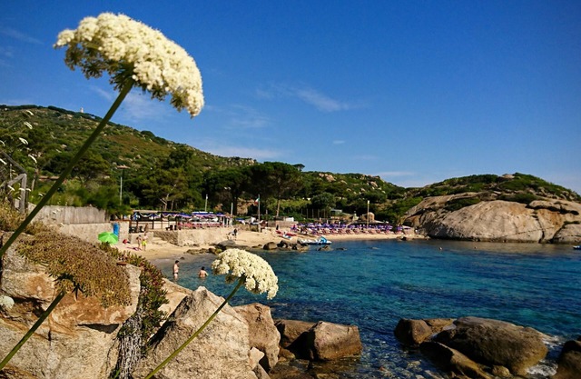 Casa la Scala - sea, mountains and a pretty house