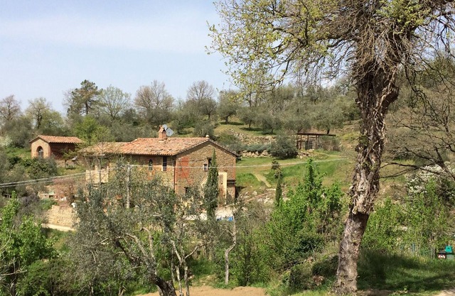 CASA LORENZO ~ ROSMARINO. Stunning peaceful farmhouse apt with pool. 2~4 people