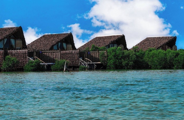 Casa Mikoko