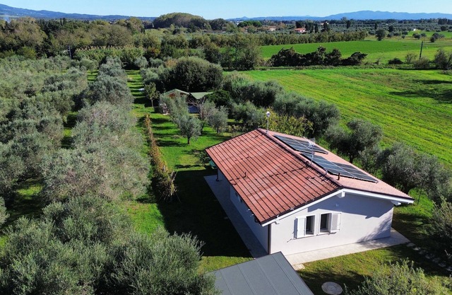 Casa RiVa - Among the olive trees and the Tuscan coast