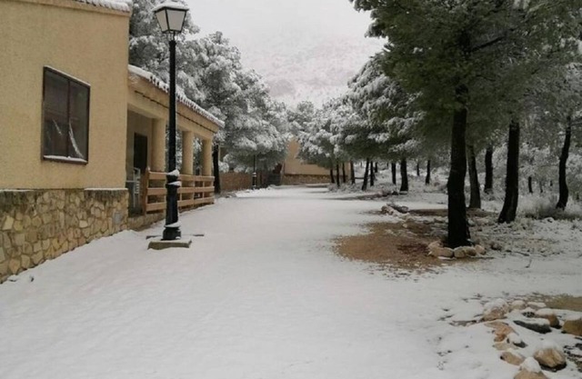 Casa Rural Pinar del Rey