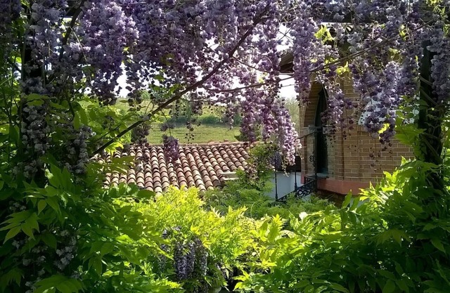 Casa Sonny: cottage in magical garden 3km from the historic center of Asti
