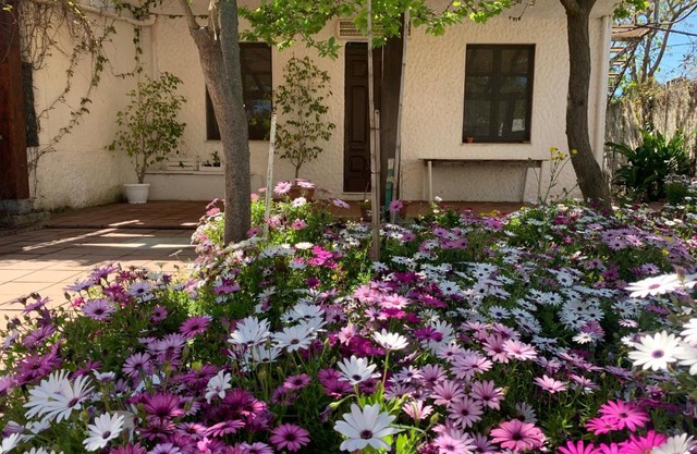 Casa tranquilla a pochissimi passi dal mare