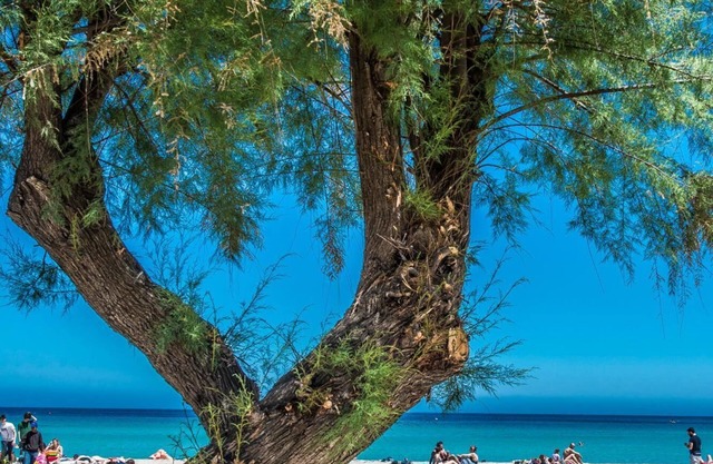 Casetta Vista Mare in Piazza a Mondello by Wonderful Italy