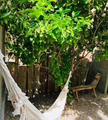 CASINHA JASMIM, vila florescer, centro histórico!