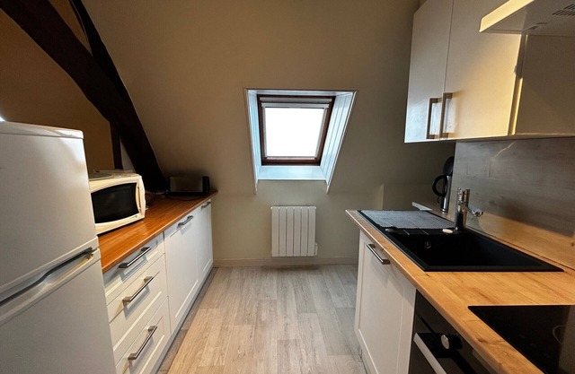 Central T2 with WIFI and free parking in La Roche-Posay