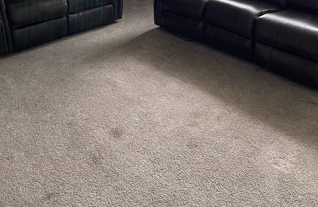 Centrally located Cozy 2 bedroom Apartment 8 Mins from the Mall