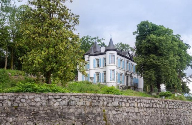 Château de Druon
