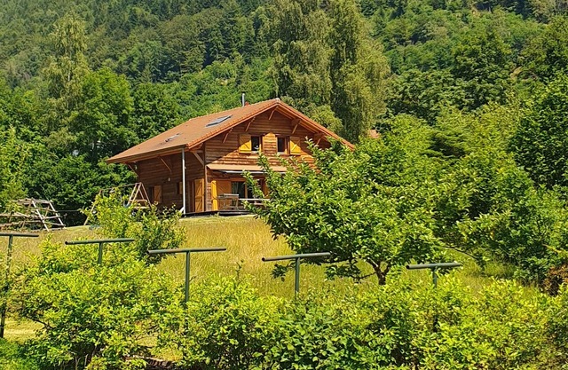 Chalet in a quiet location, private pond for fishing or swimming - 5 Bedrooms-